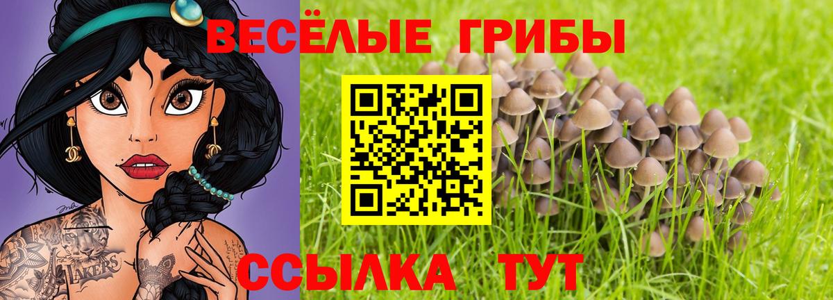 Псилоцибиновые грибы ЛСД  Вход с VPN  Десногорск 
