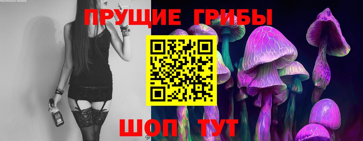 Псилоцибиновые грибы Psilocybine cubensis Десногорск